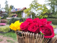 ein Bild aus dem Album