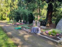 ein Bild aus dem Album