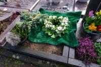 ein Bild aus dem Album