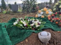 ein Bild aus dem Album