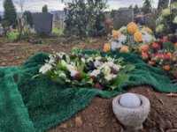 ein Bild aus dem Album