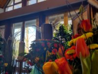 ein Bild aus dem Album