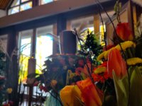 ein Bild aus dem Album