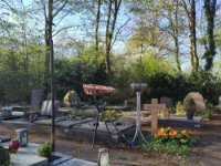 ein Bild aus dem Album