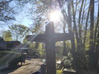 ein Bild aus dem Album