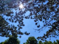 ein Bild aus dem Album