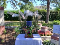 ein Bild aus dem Album