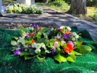 ein Bild aus dem Album