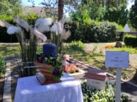 ein Bild aus dem Album