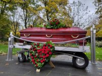 ein Bild aus dem Album