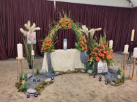 ein Bild aus dem Album