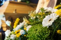 ein Bild aus dem Album