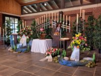 ein Bild aus dem Album