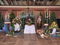 ein Bild aus dem Album