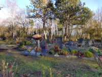 ein Bild aus dem Album