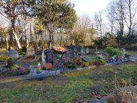 ein Bild aus dem Album