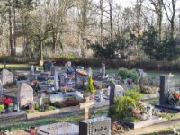 ein Bild aus dem Album