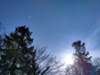 ein Bild aus dem Album