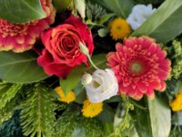 ein Bild aus dem Album