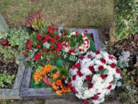 ein Bild aus dem Album