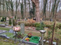 ein Bild aus dem Album